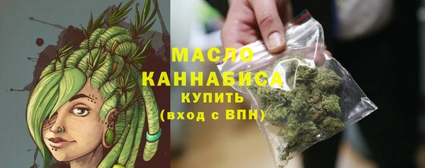 индика Богородицк