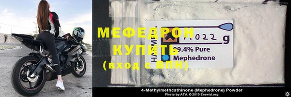 индика Богородицк