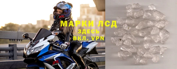 индика Богородицк