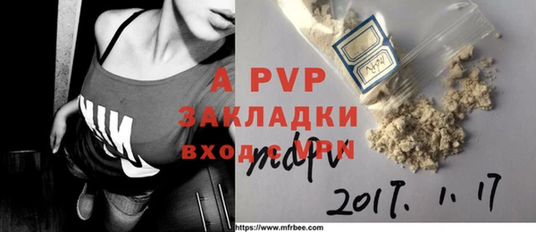 бошки Богданович