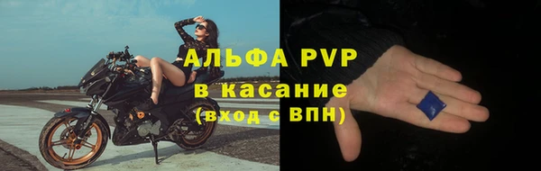 бошки Богданович