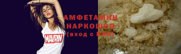 индика Богородицк