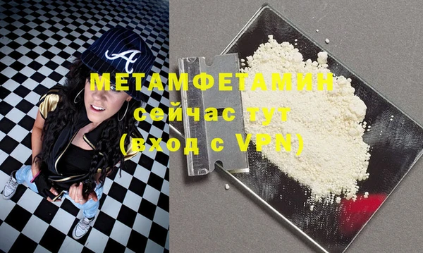 индика Богородицк