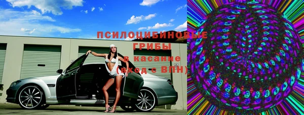 трава Снежногорск