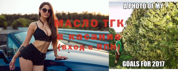 индика Богородицк