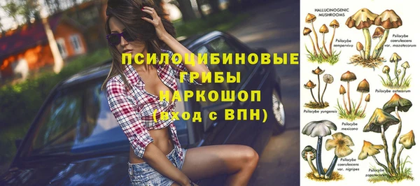 индика Богородицк