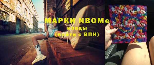 индика Богородицк