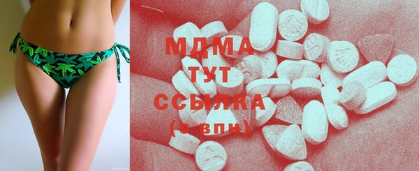 индика Богородицк