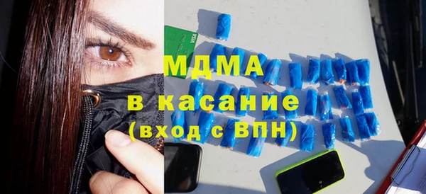 индика Богородицк