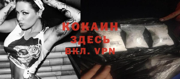 индика Богородицк