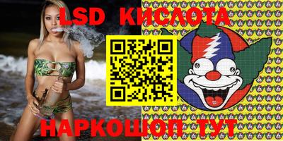 мдпв Камышлов