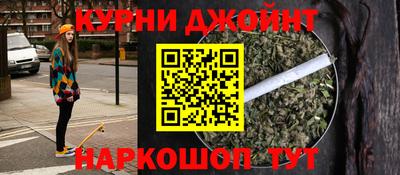 мдпв Камышлов